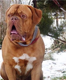 3728e32378cc.jpg (164.37 КБ, Просмотров: 1508) 3728e32378cc.jpg