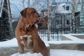 150Uz3pIt.jpg (56.31 КБ, Просмотров: 1508) 150Uz3pIt.jpg