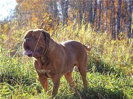 28069d7bc13a.jpg (149.99 КБ, Просмотров: 1569) 28069d7bc13a.jpg