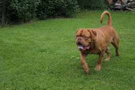 QfqeIGaI.jpg (213.67 КБ, Просмотров: 1569) QfqeIGaI.jpg