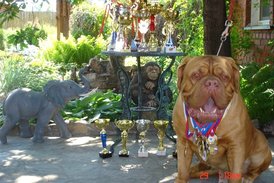 лб.jpg (174.32 КБ, Просмотров: 1569) лб.jpg