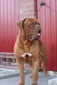 inРdex.php.jpg (19.12 КБ, Просмотров: 1491) inРdex.php.jpg