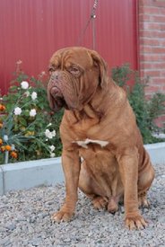 indДex.php.jpg (24.77 КБ, Просмотров: 1491) indДex.php.jpg