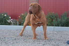 index.php.jpg (46.17 КБ, Просмотров: 1552) index.php.jpg