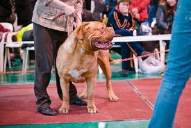 index.php.jpg (60.87 КБ, Просмотров: 1552) index.php.jpg