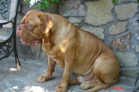 л.jpg (265.27 КБ, Просмотров: 1491) л.jpg