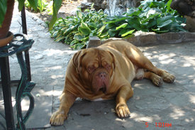 а.jpg (245.51 КБ, Просмотров: 1552) а.jpg