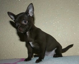 02_12_2013-21_19_49.jpg (154.76 КБ, Просмотров: 1839) 02_12_2013-21_19_49.jpg