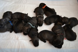 общая.jpg (266.85 КБ, Просмотров: 2398) общая.jpg