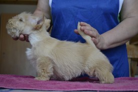 3.jpg (120.31 КБ, Просмотров: 1392) 3.jpg