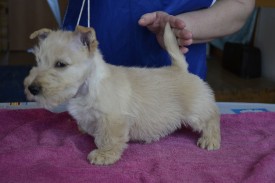 4.jpg (129.16 КБ, Просмотров: 1392) 4.jpg