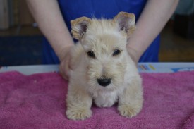 ум2.jpg (96.6 КБ, Просмотров: 1392) ум2.jpg