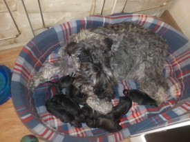 lGzOyttMgjk.jpg (66.78 КБ, Просмотров: 1759) lGzOyttMgjk.jpg