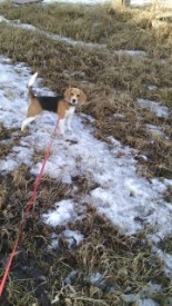 IMG_20140325_173950.jpg (42.31 КБ, Просмотров: 1254) IMG_20140325_173950.jpg