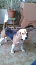 IMG_20140325_183607.jpg (24.07 КБ, Просмотров: 1159) IMG_20140325_183607.jpg