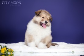 0_cbfd3_1d62cae6_XXL.jpg (281.27 КБ, Просмотров: 1633) 0_cbfd3_1d62cae6_XXL.jpg