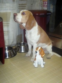 2013-11-12-765.jpg (257.46 КБ, Просмотров: 2581) 2013-11-12-765.jpg