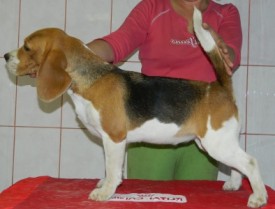 019.jpg (53.86 КБ, Просмотров: 2368) 019.jpg