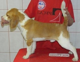 polis 062.jpg (54.94 КБ, Просмотров: 2368) polis 062.jpg