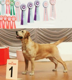 Ларс.jpg (180.35 КБ, Просмотров: 1659) Ларс.jpg