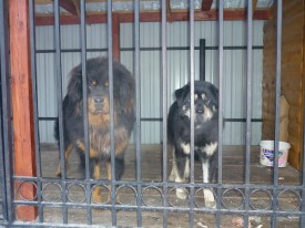 5.jpg (143.81 КБ, Просмотров: 1531) 5.jpg