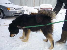 7.jpg (124.03 КБ, Просмотров: 1380) 7.jpg