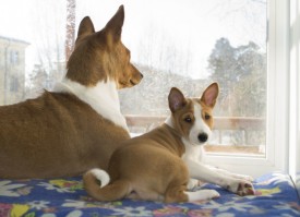 5555.jpg (115.18 КБ, Просмотров: 1128) 5555.jpg