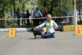 18oSWf3fapk.jpg (261.3 КБ, Просмотров: 7603) 18oSWf3fapk.jpg