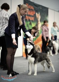 426_RZWBS3s.jpg (55.39 КБ, Просмотров: 7184) 426_RZWBS3s.jpg