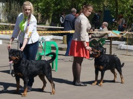 cL9TpI2SyuI.jpg (96 КБ, Просмотров: 6674) cL9TpI2SyuI.jpg