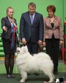 E4SJKBEmrAk.jpg (40.24 КБ, Просмотров: 7184) E4SJKBEmrAk.jpg