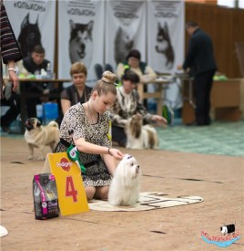 fsZ6s2NwCAA.jpg (77.55 КБ, Просмотров: 6664) fsZ6s2NwCAA.jpg