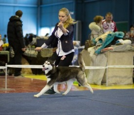 G0Au-R3tD08.jpg (57.48 КБ, Просмотров: 7184) G0Au-R3tD08.jpg