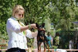 g2sqcPtwFh0.jpg (199.85 КБ, Просмотров: 7010) g2sqcPtwFh0.jpg