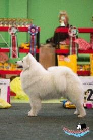 Gf5t-E5OONQ.jpg (57.4 КБ, Просмотров: 6674) Gf5t-E5OONQ.jpg