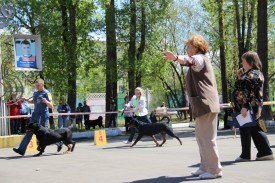 VvhCBJHpids.jpg (316.03 КБ, Просмотров: 7032) VvhCBJHpids.jpg