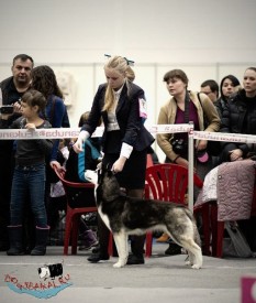 X7dO_YvwQoE.jpg (72.6 КБ, Просмотров: 7603) X7dO_YvwQoE.jpg