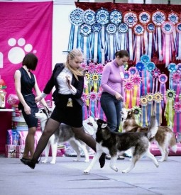 YeY5e605Vuk.jpg (75.33 КБ, Просмотров: 6664) YeY5e605Vuk.jpg