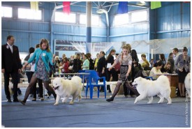 IMG_8406.jpg (240.01 КБ, Просмотров: 6777) IMG_8406.jpg