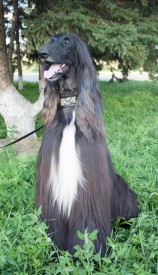 cor (66 из 92).jpg (344.09 КБ, Просмотров: 119247) cor (66 из 92).jpg