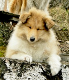 11.jpg (138.52 КБ, Просмотров: 1752) 11.jpg