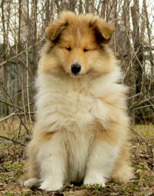 111.jpg (147.25 КБ, Просмотров: 1757) 111.jpg