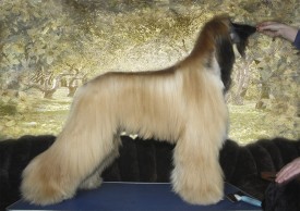 Без имени-1.jpg (371.2 КБ, Просмотров: 118957) Без имени-1.jpg