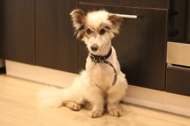 J2MTMfQjWco.jpg (60.22 КБ, Просмотров: 2576) J2MTMfQjWco.jpg