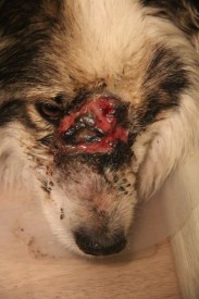 Gu0yKfFlBgE.jpg (55.23 КБ, Просмотров: 2957) Gu0yKfFlBgE.jpg