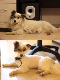 JmY0Vqfygck.jpg (78.89 КБ, Просмотров: 2576) JmY0Vqfygck.jpg