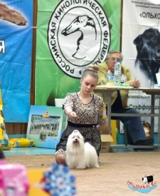 z0ZBE5_bjR8.jpg (77.63 КБ, Просмотров: 6665) z0ZBE5_bjR8.jpg