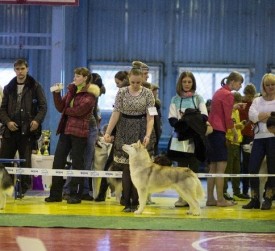 wumxeUNQBCA.jpg (63.46 КБ, Просмотров: 6624) wumxeUNQBCA.jpg