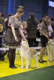 0Iz2wlEY_RU.jpg (41.82 КБ, Просмотров: 6798) 0Iz2wlEY_RU.jpg