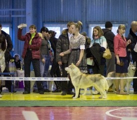 3XkKEvyLm0o.jpg (63.02 КБ, Просмотров: 6646) 3XkKEvyLm0o.jpg